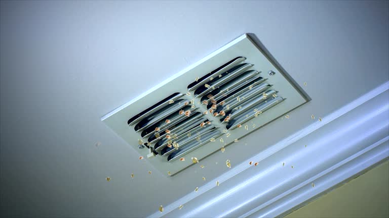 Best Air Vent Cleaning Services  in Casas Adobes, AZ