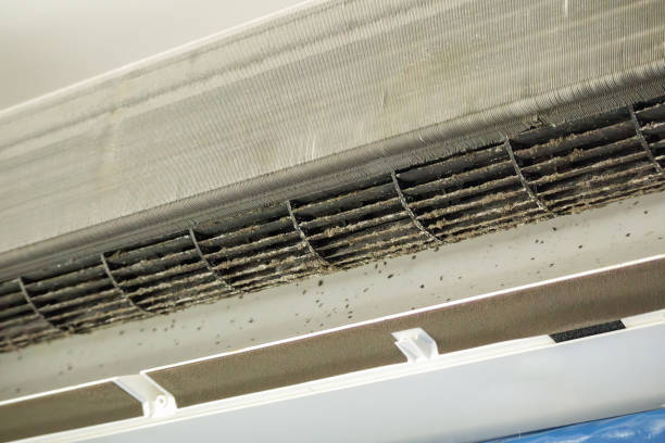 Best Affordable Air Duct Cleaning  in Casas Adobes, AZ