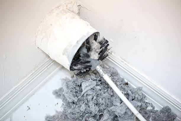 Best Professional Duct Cleaning Services  in Casas Adobes, AZ